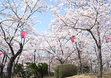 為松公園