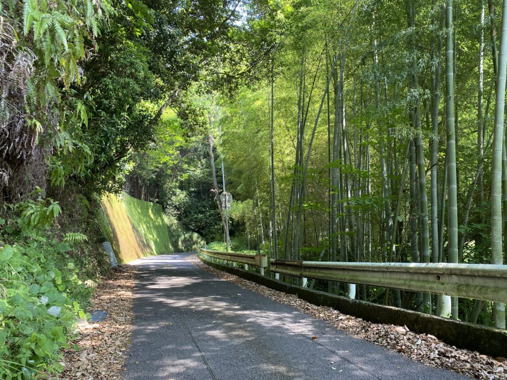 当庵までの山道　歩行者優先道だが車の通行も可