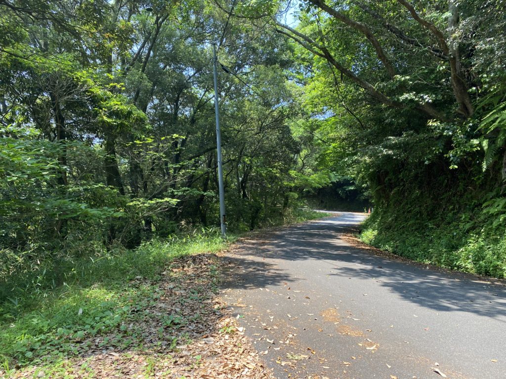 対向車が来たら路肩で待機